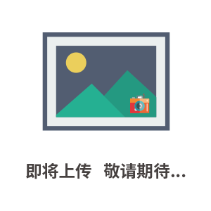 NOP擺線泵